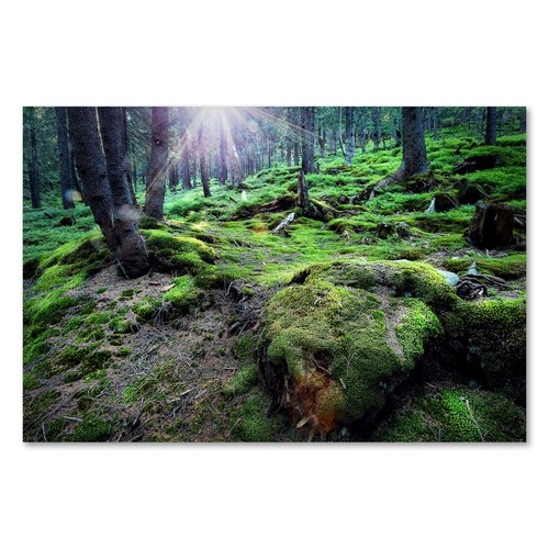 Postereck 3033 poster leinwand - poster,