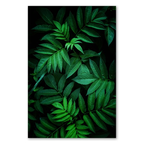 Postereck 2820 poster leinwand - postereck,