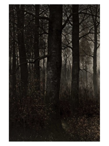 Waldlandschaft realismus - waldlandschaft,