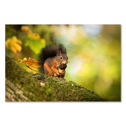 Postereck 3875 poster leinwand - postereck,