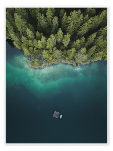 Poster wald see - poster,
