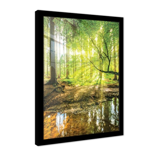 Poster mit rahmen wald grün - rahmen,
