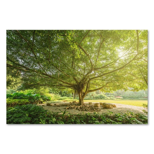 Postereck 3910 poster leinwand - 3910,