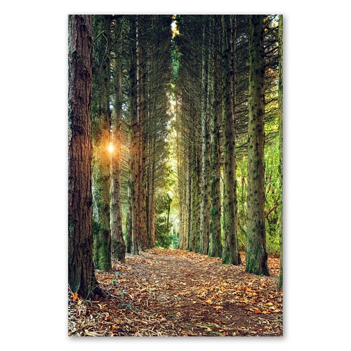 Postereck 3516 poster - 3516,
