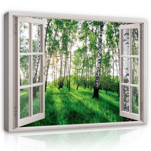Fensterblick wald natur - fensterblick,