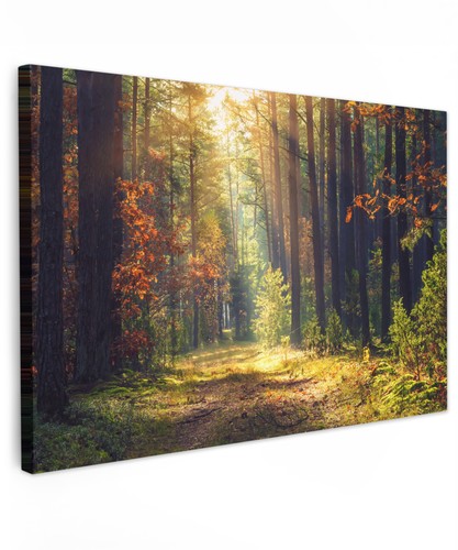 Canvas leinwand bilder - leinwand, wand