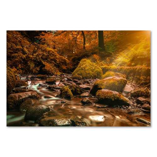 Postereck 3073 poster leinwand - postereck,