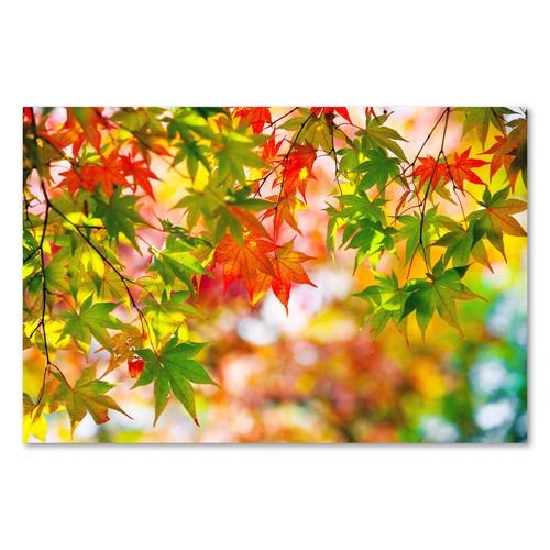 Postereck 3836 poster leinwand - postereck,