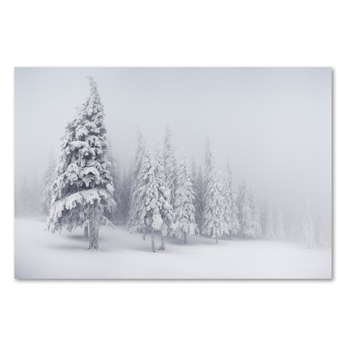 Postereck 1407 poster leinwand - postereck,
