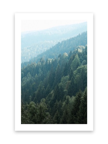 Kunstdruck poster bild - bild, druck