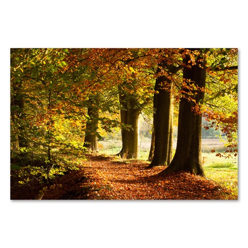 Postereck 1259 poster leinwand - postereck,