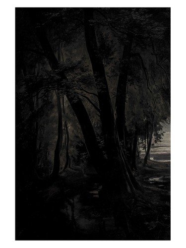 Dunkler wald - dunkler,
