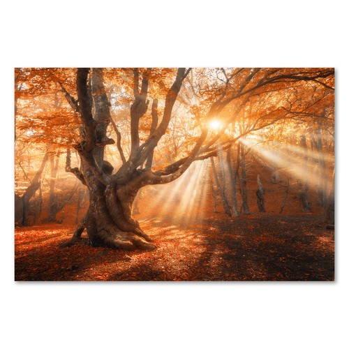 Postereck 3097 poster leinwand - postereck,