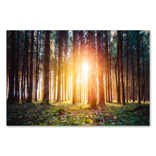 Postereck 3873 poster - postereck,
