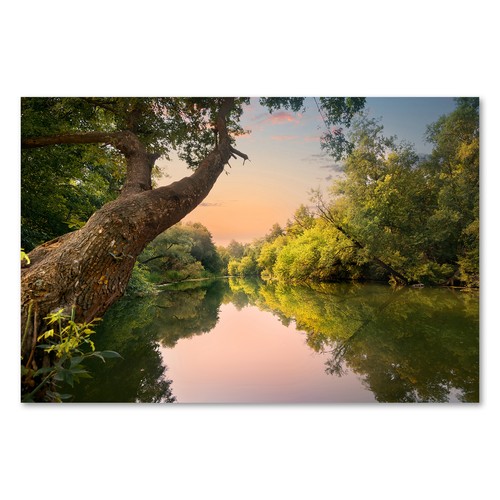 Postereck 2559 poster leinwand - 2559,