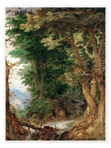 Poster waldlandschaft jan - poster,