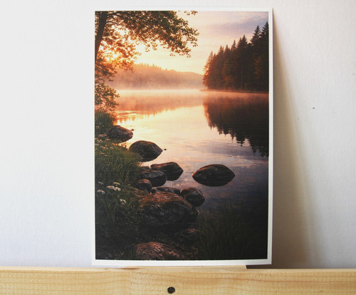 Wandbild wald bilder - wald,