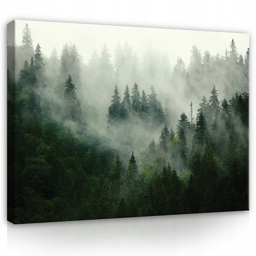 Leinwand bilder wald nebel - leinwand,