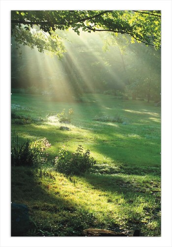 Wallario premium poster - premium,