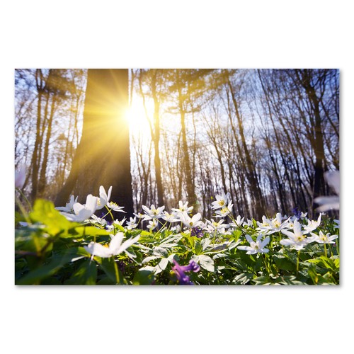 Postereck 1075 poster leinwand - poster,