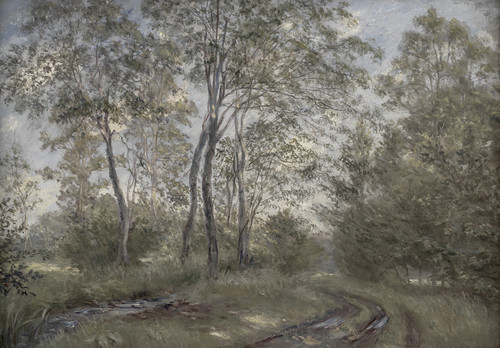 Waldweg mit licht himmel - waldweg,