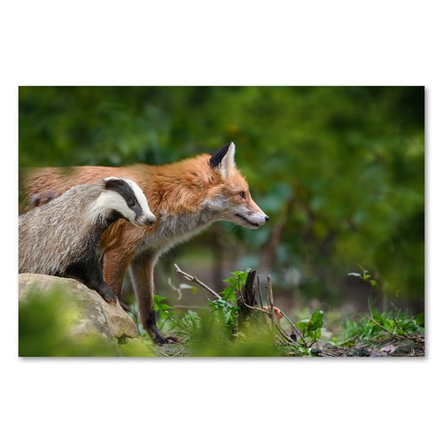Postereck 3912 poster leinwand - postereck,