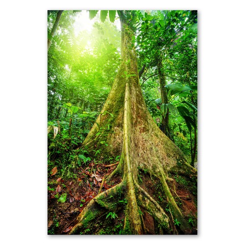 Postereck 1325 poster - 1325, leinwand