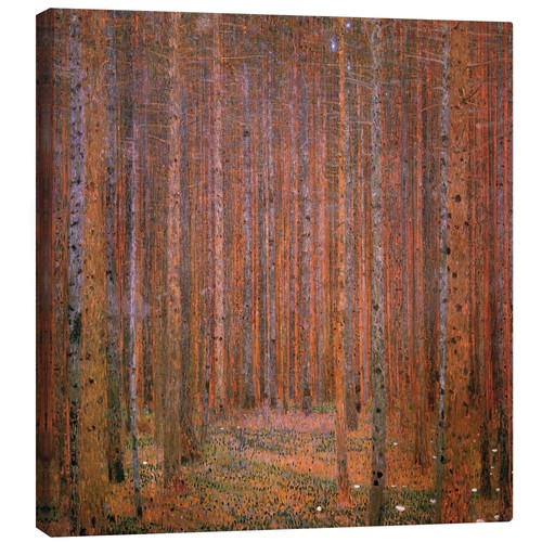 Leinwandbild tannenwald - leinwandbild,