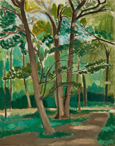 Wald baum weg poster - baum,