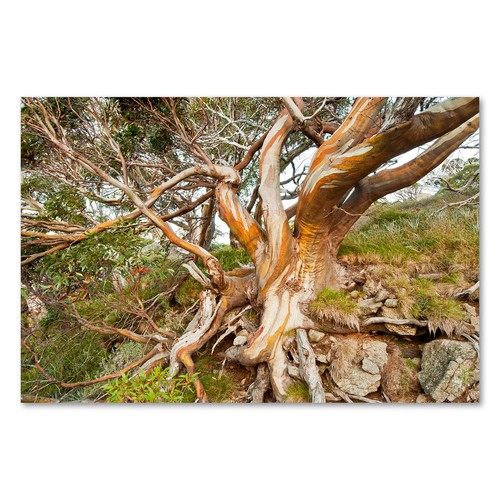 Postereck 3890 poster - postereck,