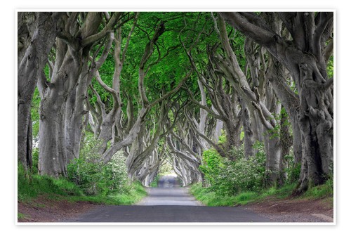 Poster waldstraße irland - waldstraße,