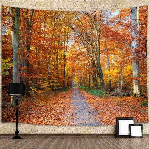 Herbst wald natur poster - wald, xxl