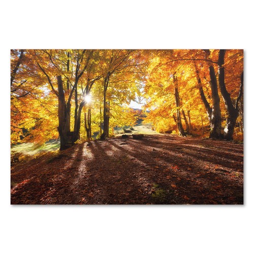 Postereck 3165 poster - postereck,