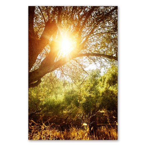 Postereck 1442 poster - postereck,
