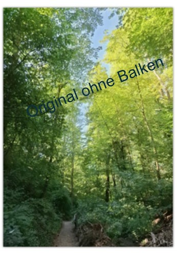 Poster natur ohne rahmen - natur,