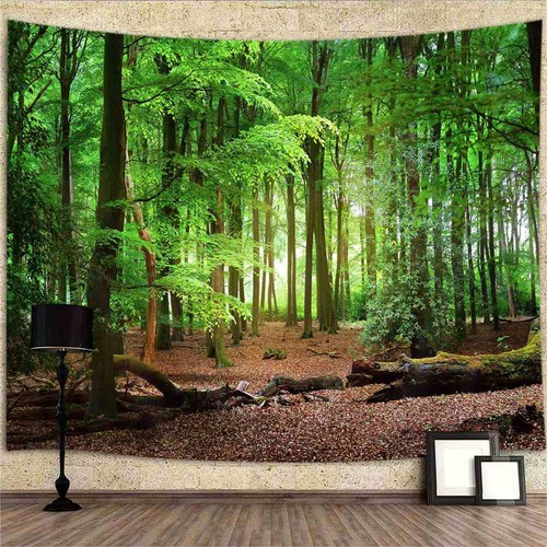 Wald natur poster xxl - ,