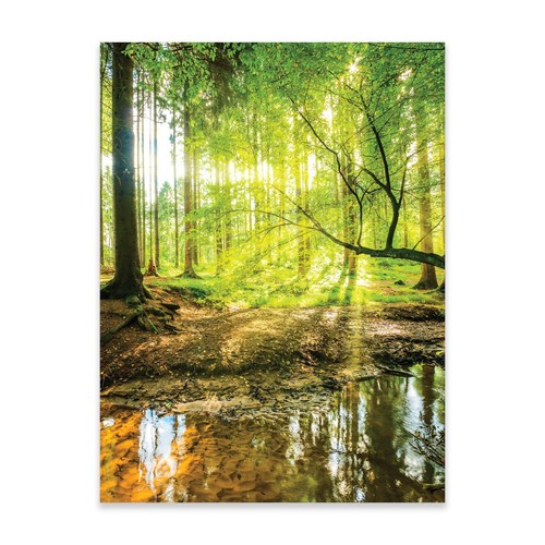 Poster wald natur 30x40 - 30x40, /