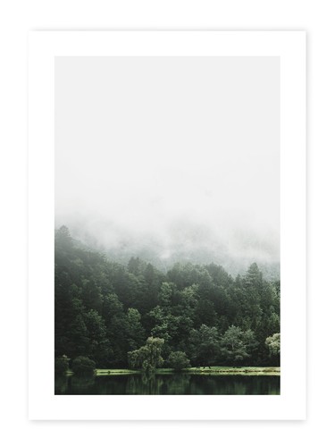 Kunstdruck poster wald - kunstdruck,
