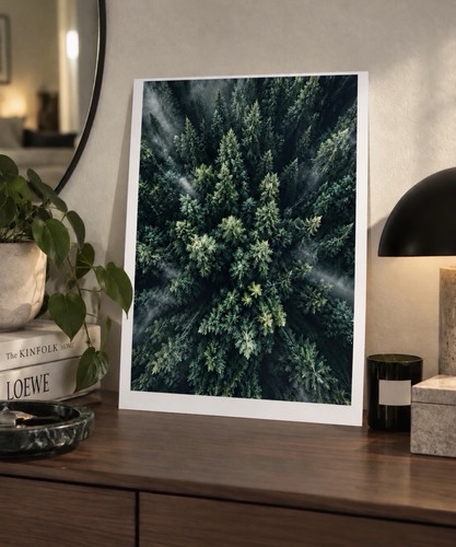 Din poster wald von oben - poster,