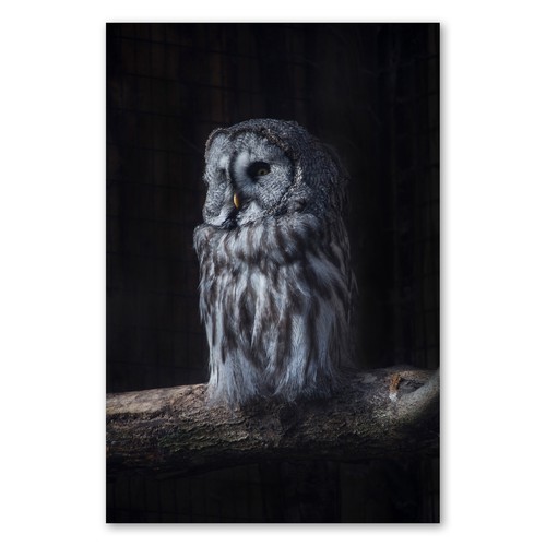 Postereck 3628 poster - postereck,