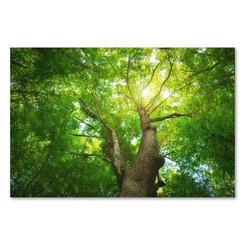 Postereck 3100 poster leinwand - postereck,