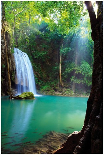 Wallario premium poster - wallario, plakat