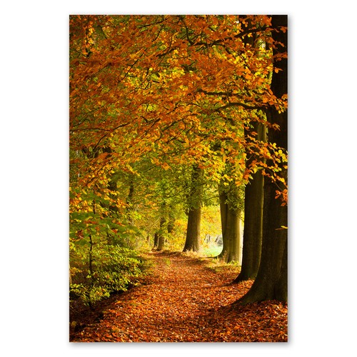 Postereck 1797 poster leinwand - poster,