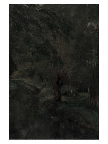Dunkler wald impressionist - dunkler,