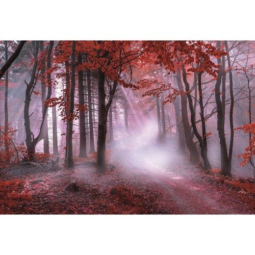 Keilrahmenbild roter wald - keilrahmenbild,